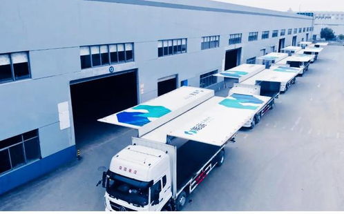 能运物流中标沃尔沃汽车亚太路桥工厂项目，高标准服务与代驾优势凸显行业竞争力